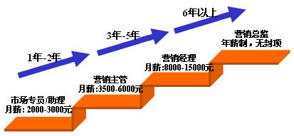 營銷之路 通往世界500強領導層的戰略起點